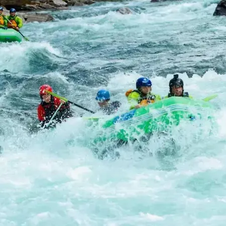 Large Single-family - In *